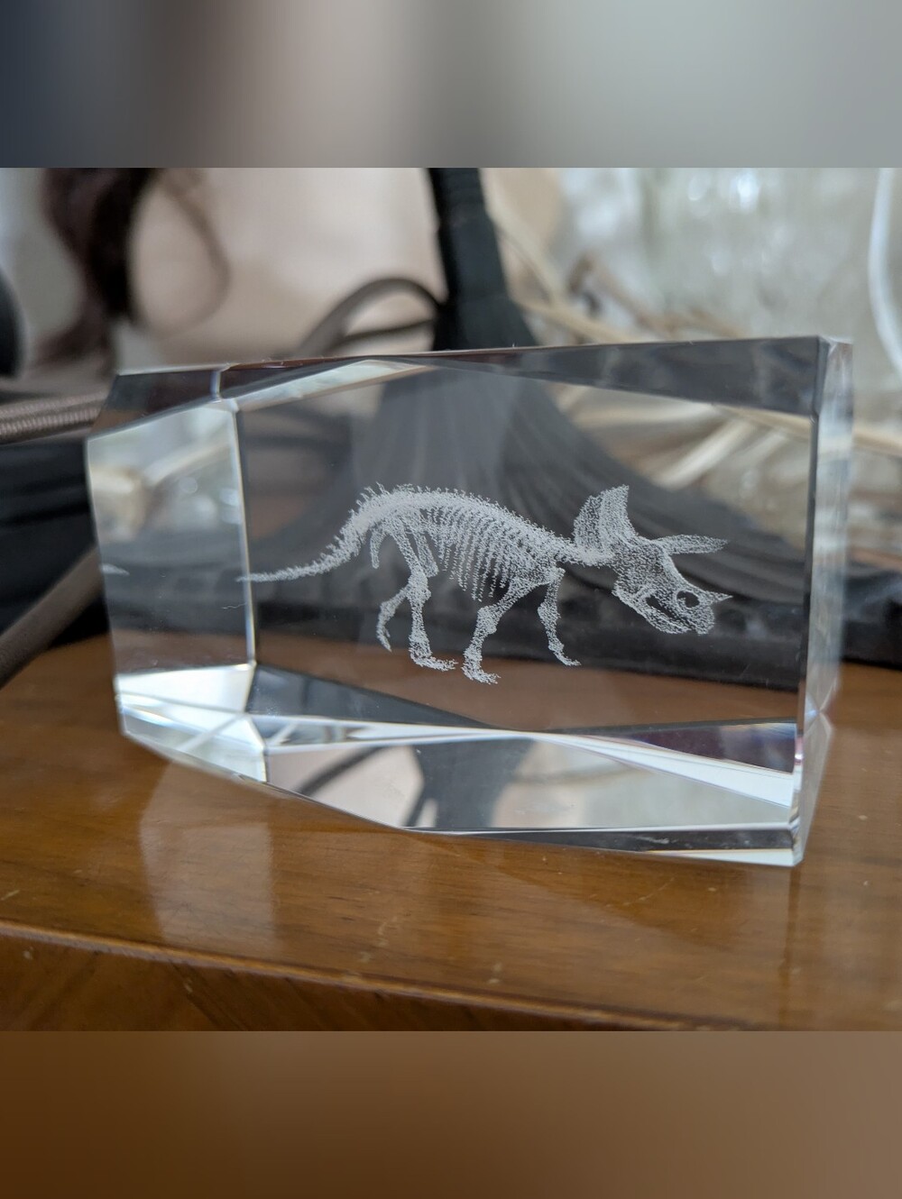 VTG Triceratops Skeleton Paperweight